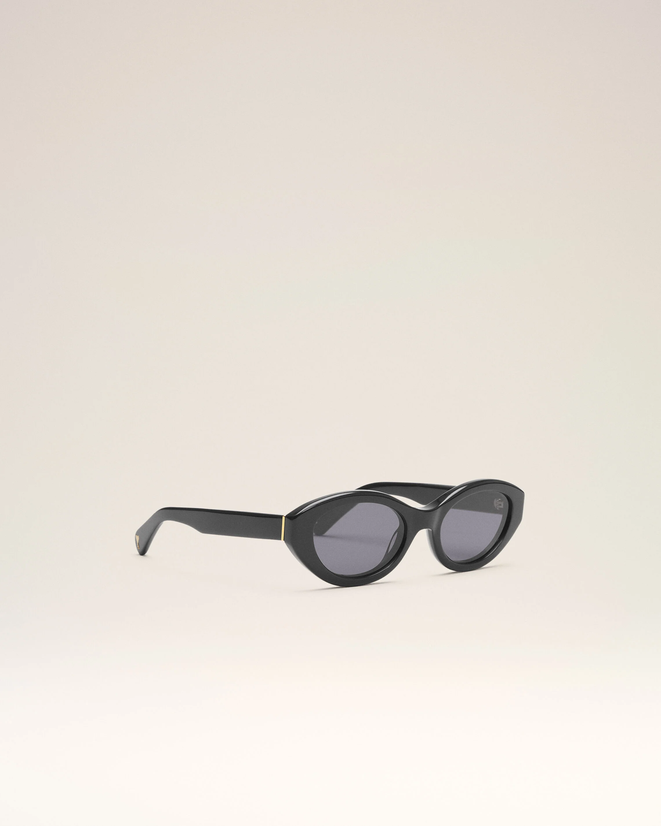 Lunettes De Soleil 75017 Noires - Image 9