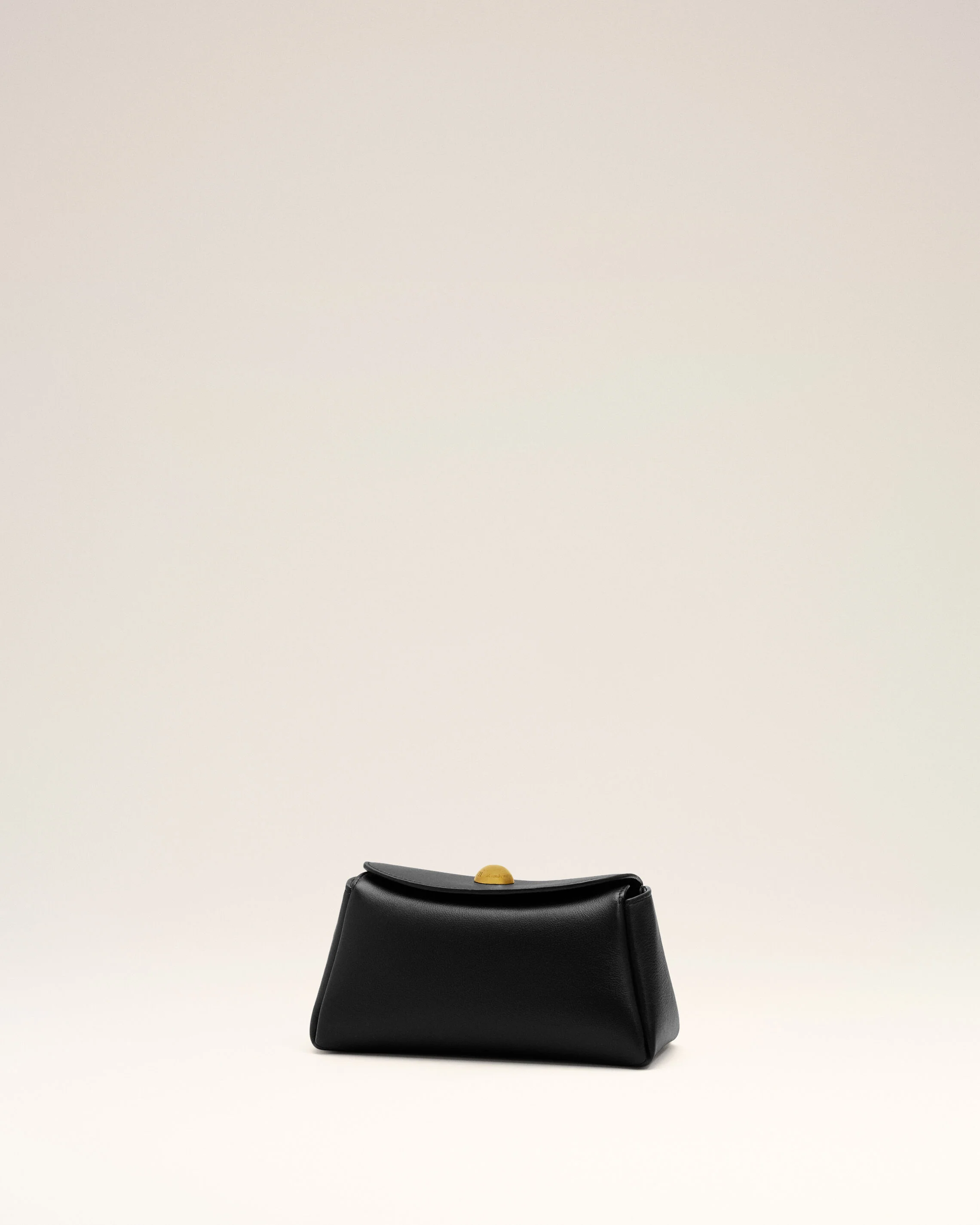 Mini Sac Carrousel Noir en Cuir De Veau - Image 13